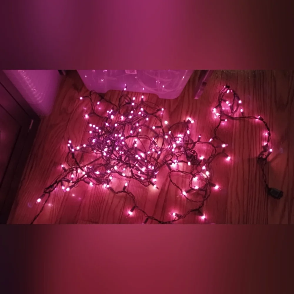 🎃🍂20ft of purple Halloween lights